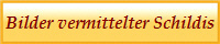 Bilder vermittelter Schildis